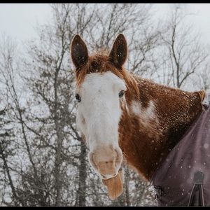 Meet your Posher, Savanna